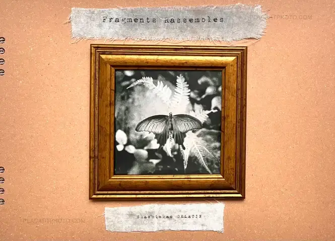 Shashinkan Gelatin – Fragments Rassembles (EDT OF 10)
