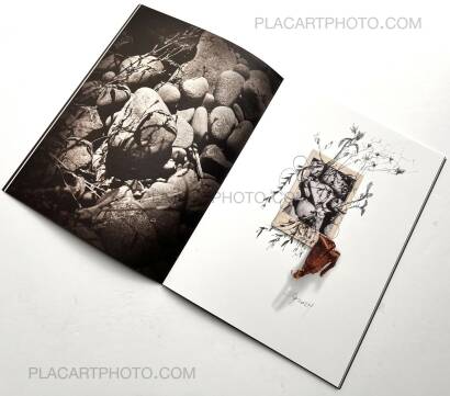 Regina Anzenberger,The Australian Journey (EDT OF 300)