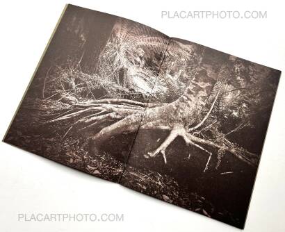 Regina Anzenberger,The Australian Journey (EDT OF 300)