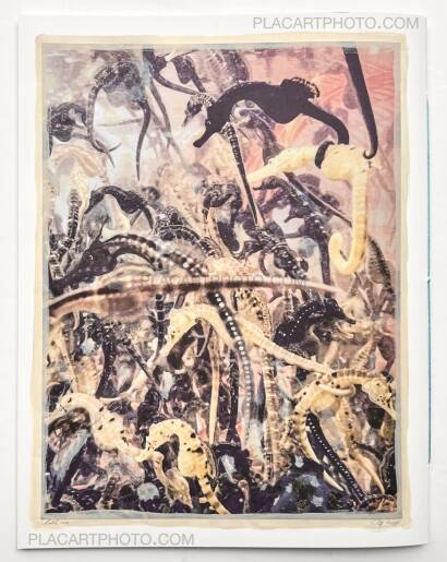 Regina Anzenberger,The Australian Journey (EDT OF 300)