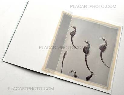 Regina Anzenberger,The Australian Journey (EDT OF 300)