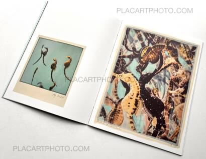 Regina Anzenberger,The Australian Journey (EDT OF 300)