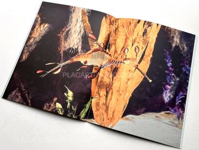 Regina Anzenberger,The Australian Journey (EDT OF 300)