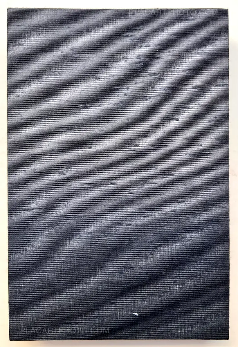 Veronica Mecchia – En pleine lumière (EDT of 100)