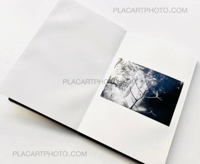 Veronica Mecchia,En pleine lumière (EDT of 100)