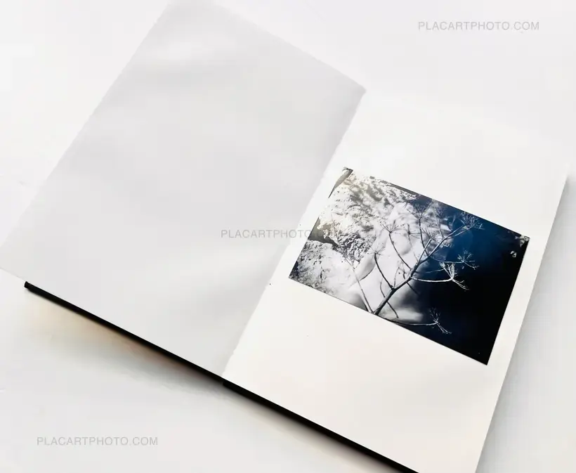 Veronica Mecchia – En pleine lumière (EDT of 100)
