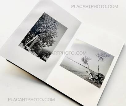 Veronica Mecchia,En pleine lumière (EDT of 100)