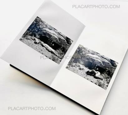 Veronica Mecchia,En pleine lumière (EDT of 100)