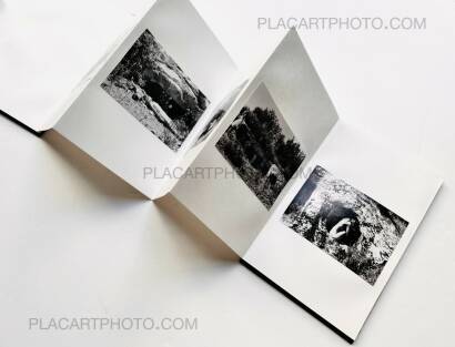 Veronica Mecchia,En pleine lumière (EDT of 100)