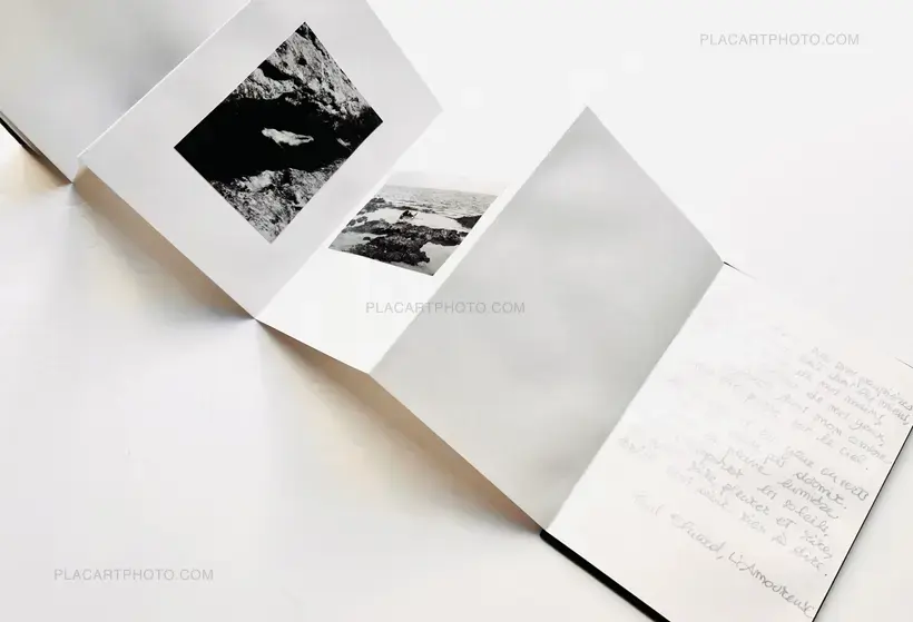 Veronica Mecchia – En pleine lumière (EDT of 100)