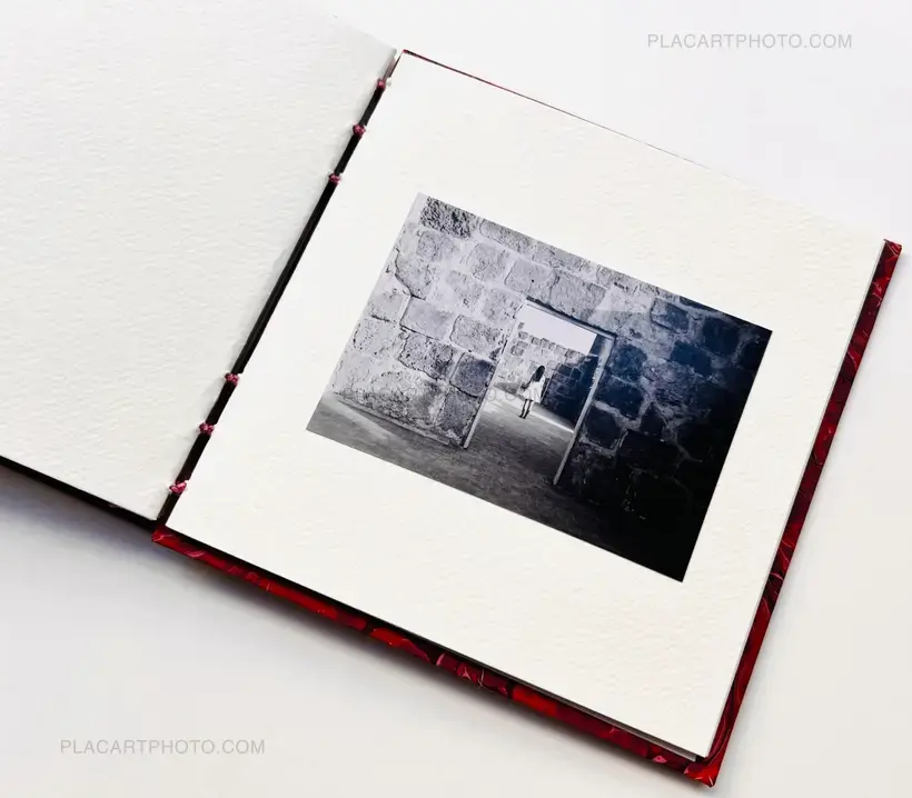 Veronica Mecchia – AMOUR TU DOIS REVENIR (« You have to come back, love ») (EDT OF 50)