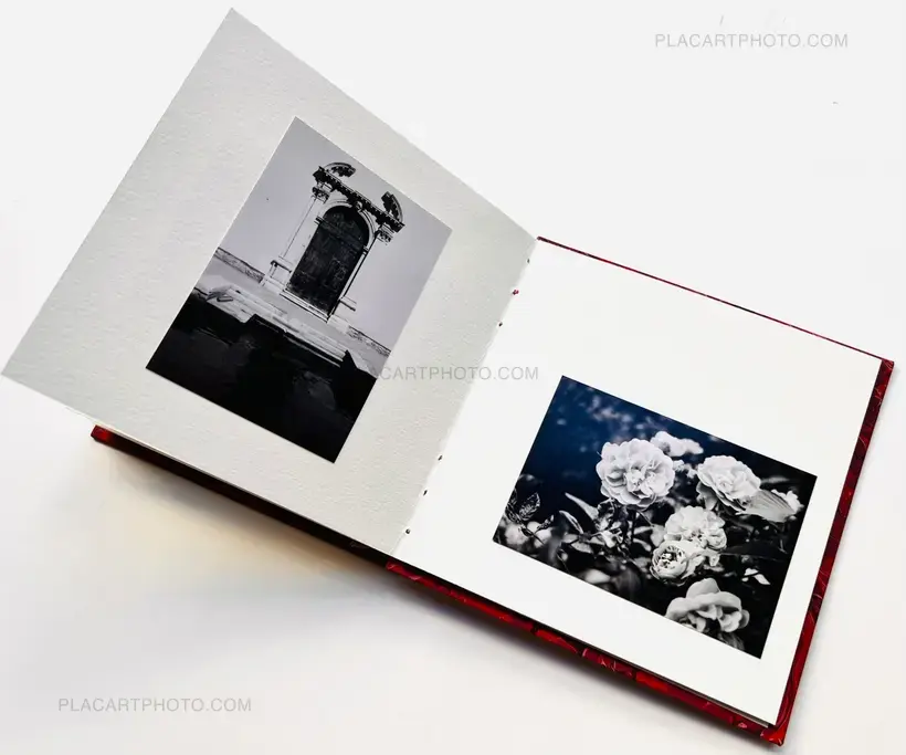Veronica Mecchia – AMOUR TU DOIS REVENIR (« You have to come back, love ») (EDT OF 50)