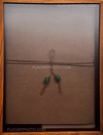 Yangzi Qiu,Cloud and Stone book collection No 12 (EDT OF 100)