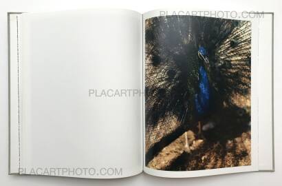 Gregory Halpern,A (SEALED COPY)