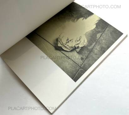 Ed Ruscha,Various small fires and milk (First Edt)