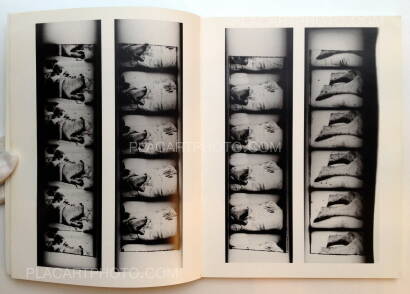 Larry Clark,Teenage Lust