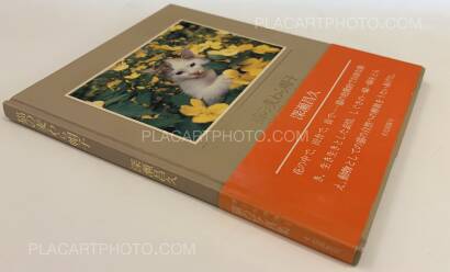 Masahisa Fukase,Neko no mugiwara boshi / The Strawhat Cat (Signed)