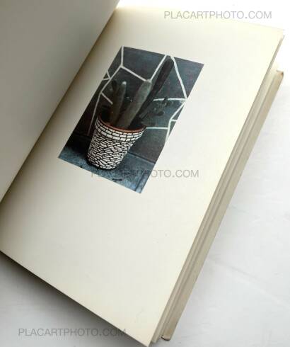 Luigi Ghirri,Colazione sull'erba