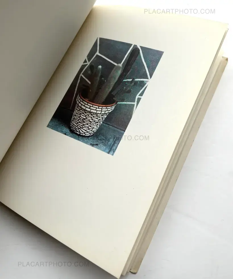 Luigi Ghirri – Colazione sull'erba