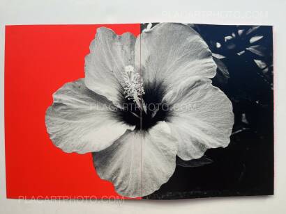 Chlo&eacute; Jaf&eacute;,Trilogy : Lot of 3 books (Handmade edt with prints) 