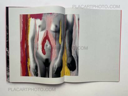 Chlo&eacute; Jaf&eacute;,Trilogy : Lot of 3 books (Handmade edt with prints) 