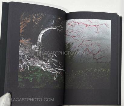 Boris Mikhailov,"...in search of window of Opportunity / Exodus..."