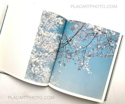 Risaku Suzuki,Hysteric Eight (Signed)