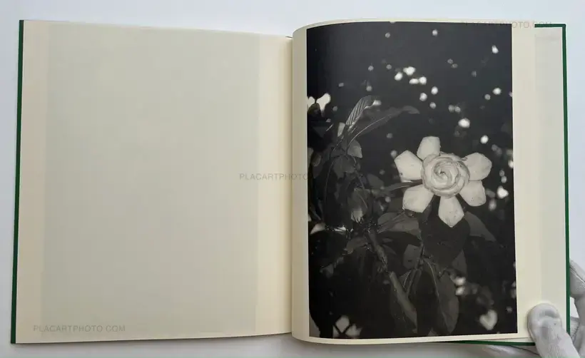 Hajime Sawatari – hysteric Ten