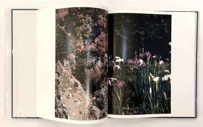 Takuma Nakahira,Hysteric Six