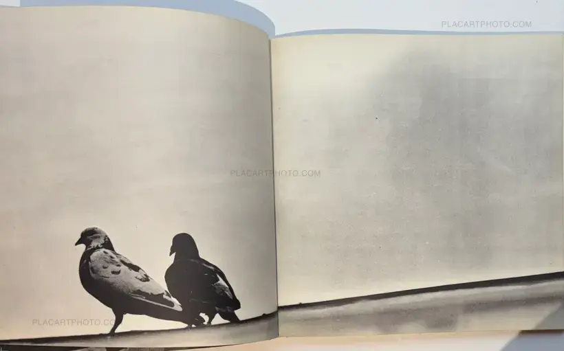 Various photographers – Hiroshima-Nagasaki Document 1961
