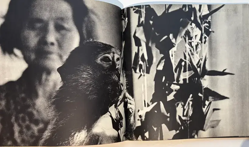 Various photographers – Hiroshima-Nagasaki Document 1961