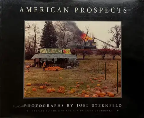 Joel Sternfeld – AMERICAN PROSPECTS