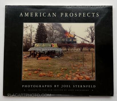 Joel Sternfeld,AMERICAN PROSPECTS