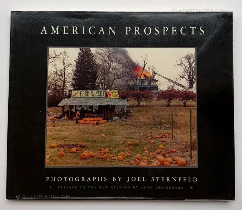 Joel Sternfeld – AMERICAN PROSPECTS