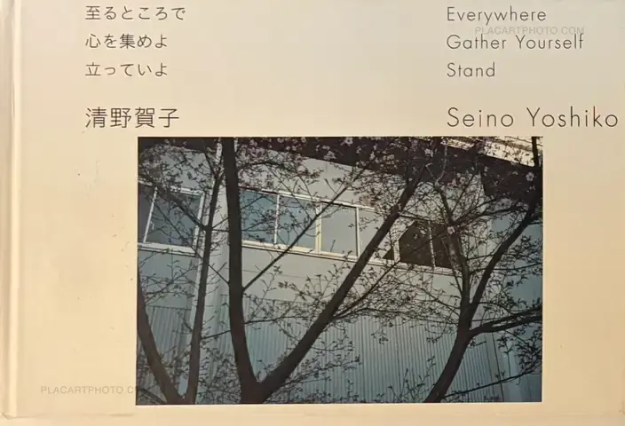 Yoshiko Seino – Everywhere Gather Yourself Stand