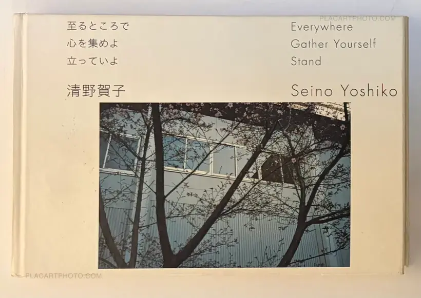 Yoshiko Seino – Everywhere Gather Yourself Stand