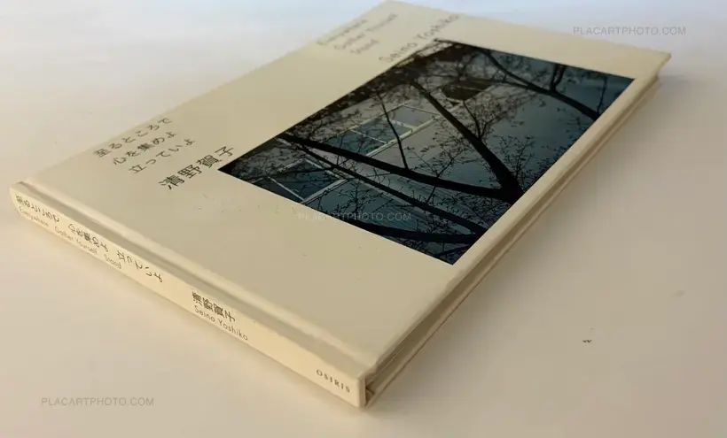 Yoshiko Seino – Everywhere Gather Yourself Stand