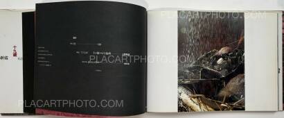 Kiyoshi Suzuki,The Ship of Fools