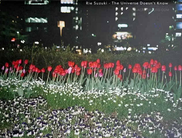 Rie Suzuki – The Universe Doesn't Know