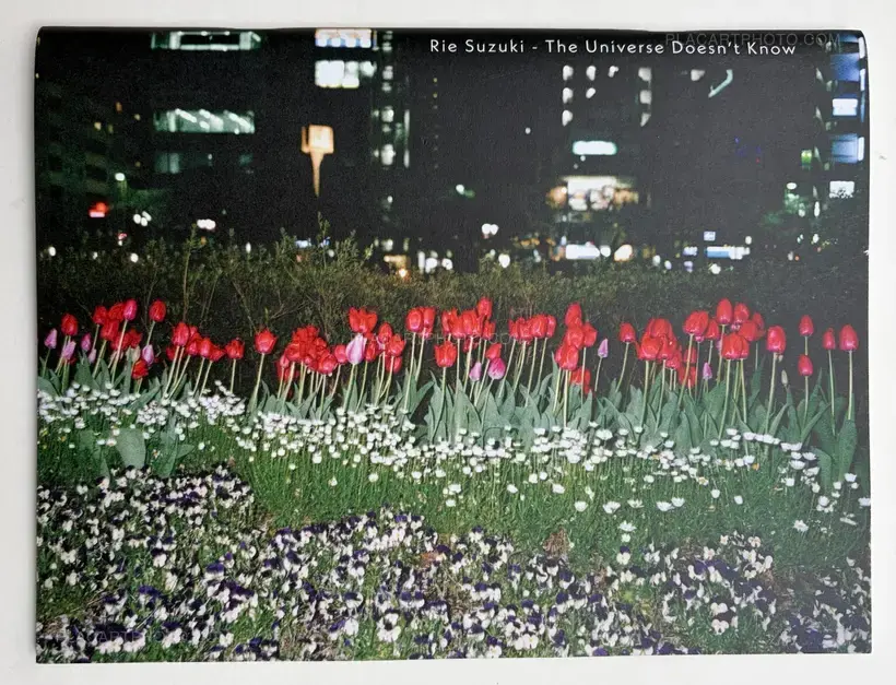 Rie Suzuki – The Universe Doesn't Know