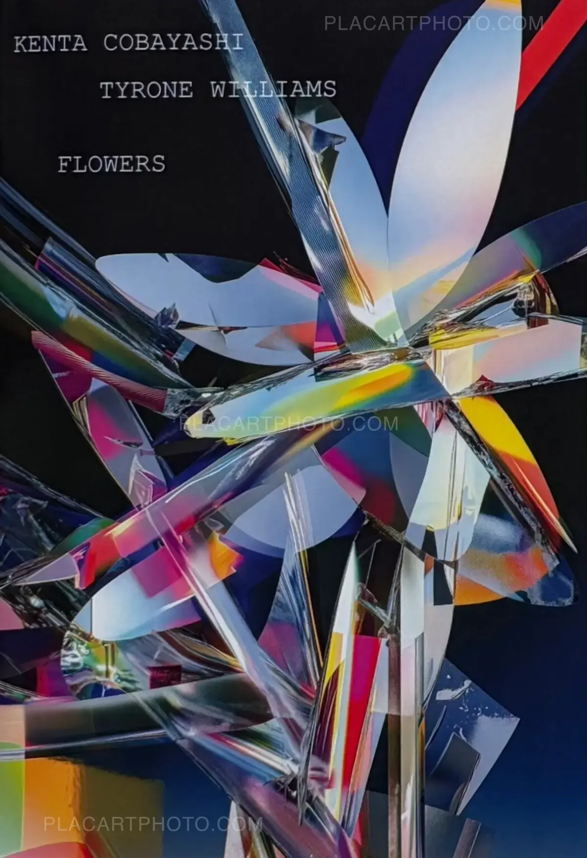 Various photographers, FLOWERS, Photodaydream ediitons, 2026 | Le