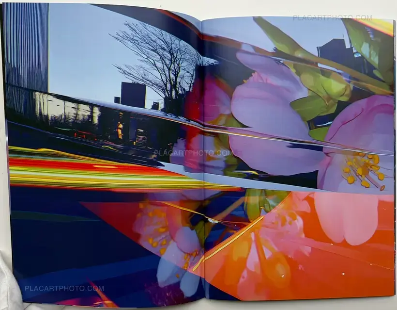 Various photographers – FLOWERS