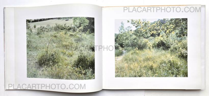 Risaku Suzuki: Mont Sainte Victoire, Nazraeli Press, 2004