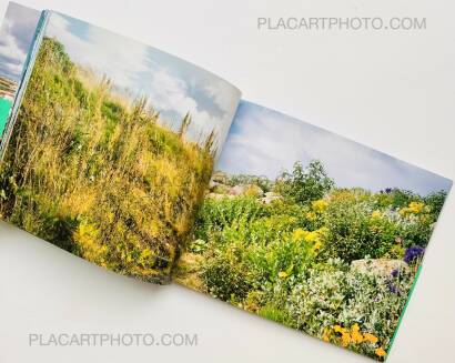 Takashi Homma,Hyper Ballad: Icelandic Suburban Landscapes