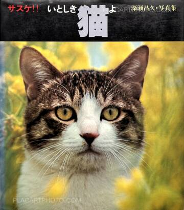 Masahisa Fukase,Sasuke !! Itoshiki neko yo / Sasuke !! My dear cat