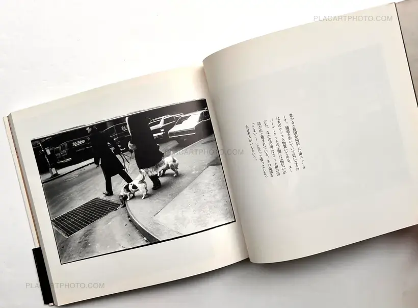 Tsuneo Enari – New York Diary