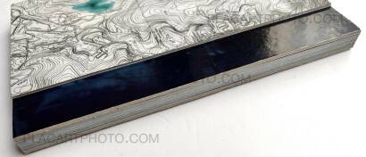 Cristina de Middel,Sharkification (SPECIAL EDT WITH A PRINT)