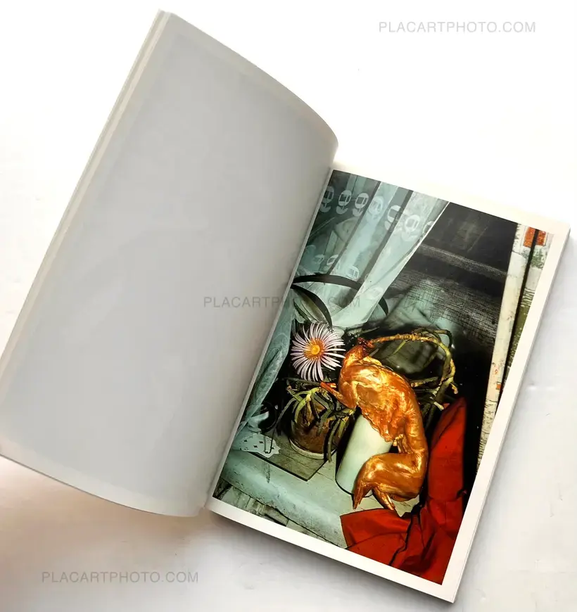 Boris Mikhailov – Suzi et cetera