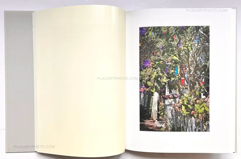 Various photographers – The Auckland Project