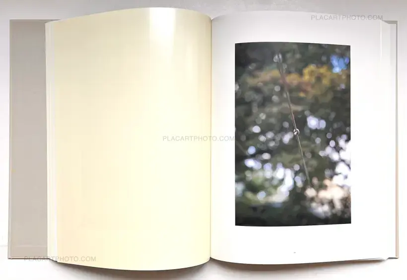 Various photographers – The Auckland Project